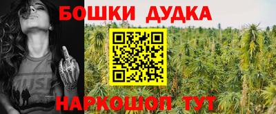 прущие крисы Апшеронск