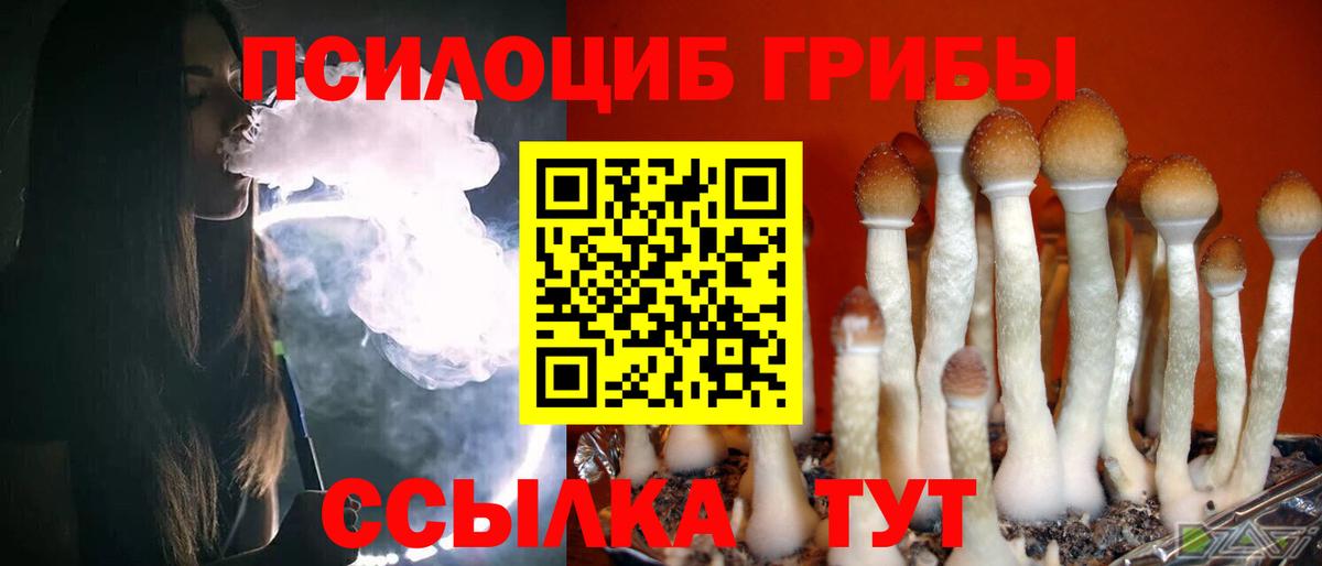 Псилоцибиновые грибы GOLDEN TEACHER Барнаул